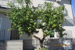 Sartano-Social-Club-Gallery-img-1