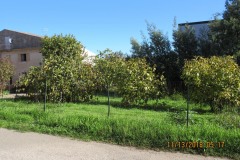 Sartano-Social-Club-Gallery-img-10