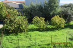 Sartano-Social-Club-Gallery-img-12
