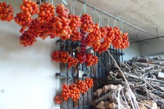 Sartano-Social-Club-Gallery-img-160