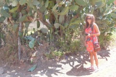 Sartano-Social-Club-Gallery-img-195
