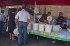Sartano-Social-Club-Gallery-img-206