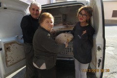 Sartano-Social-Club-Gallery-img-76